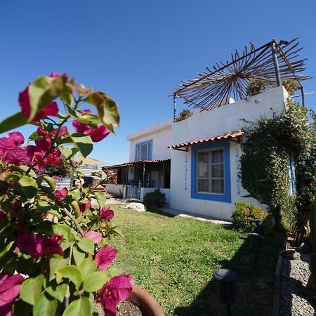 Santerra, Valle De Guadalupe Eksteriør bilde