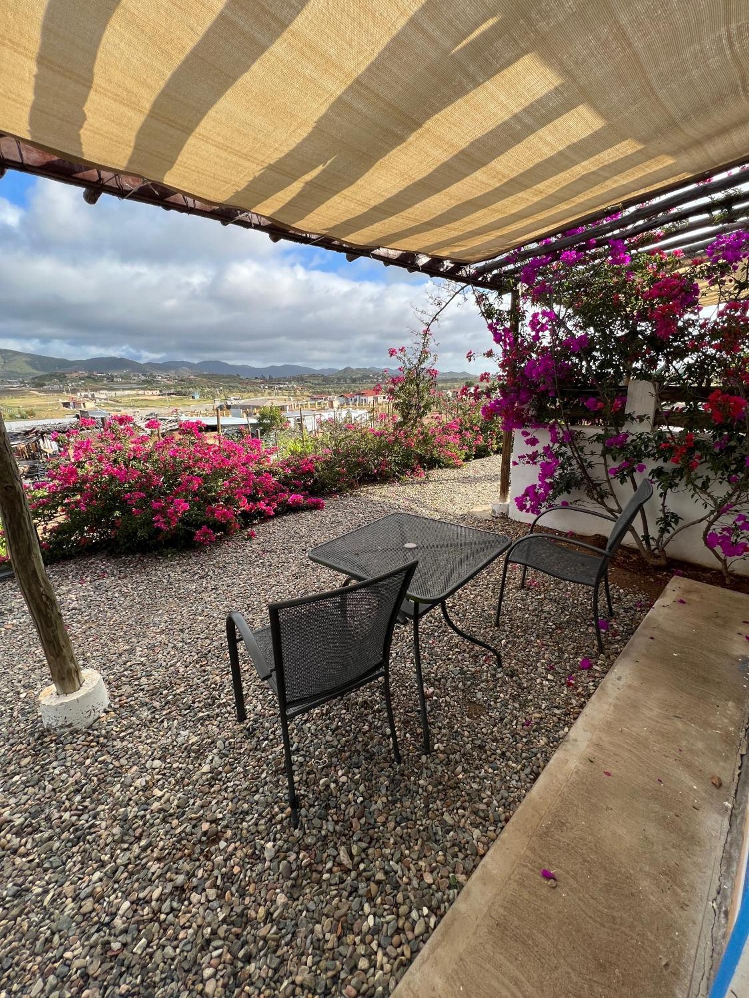 Santerra, Valle De Guadalupe Eksteriør bilde