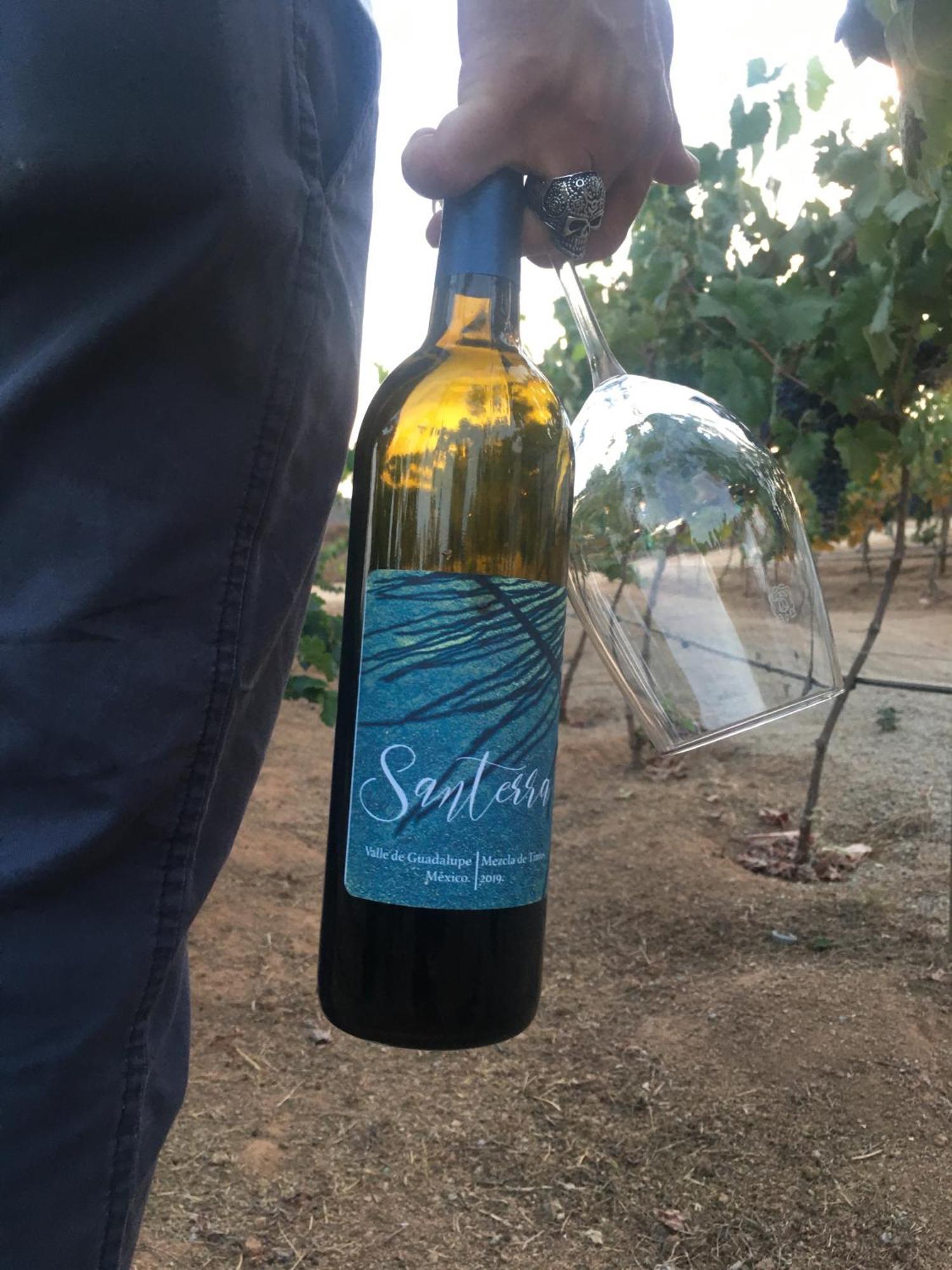 Santerra, Valle De Guadalupe Eksteriør bilde