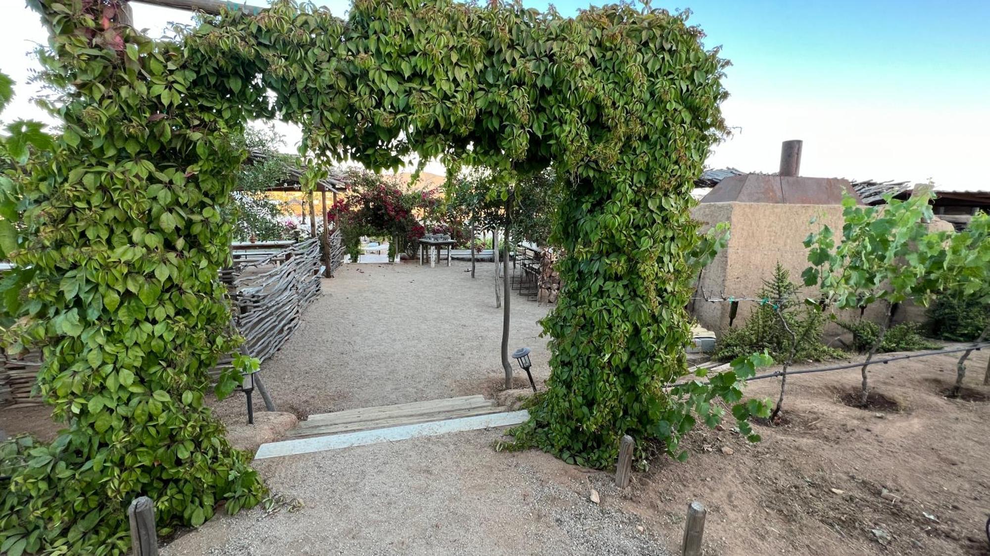 Santerra, Valle De Guadalupe Eksteriør bilde
