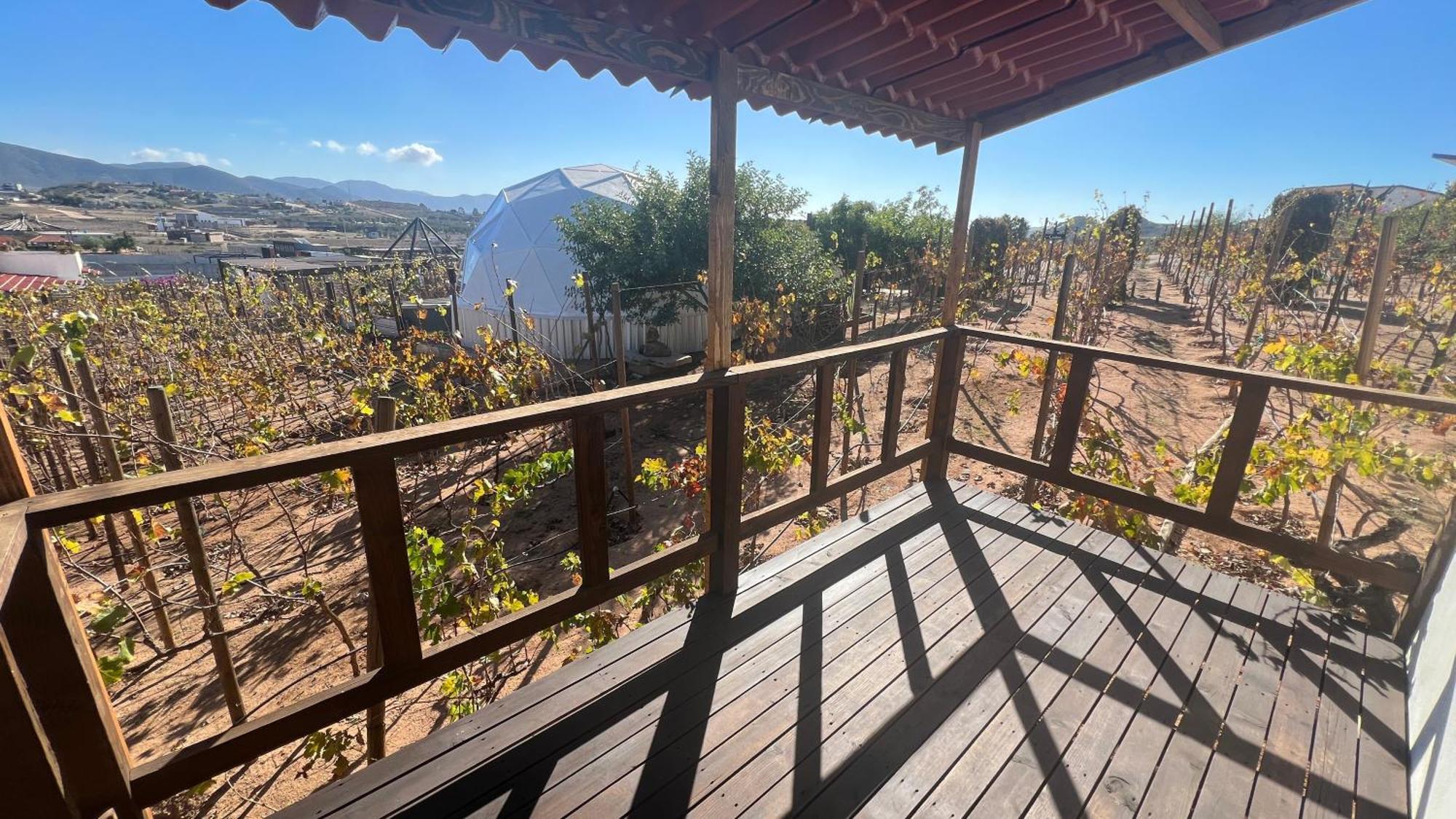 Santerra, Valle De Guadalupe Eksteriør bilde