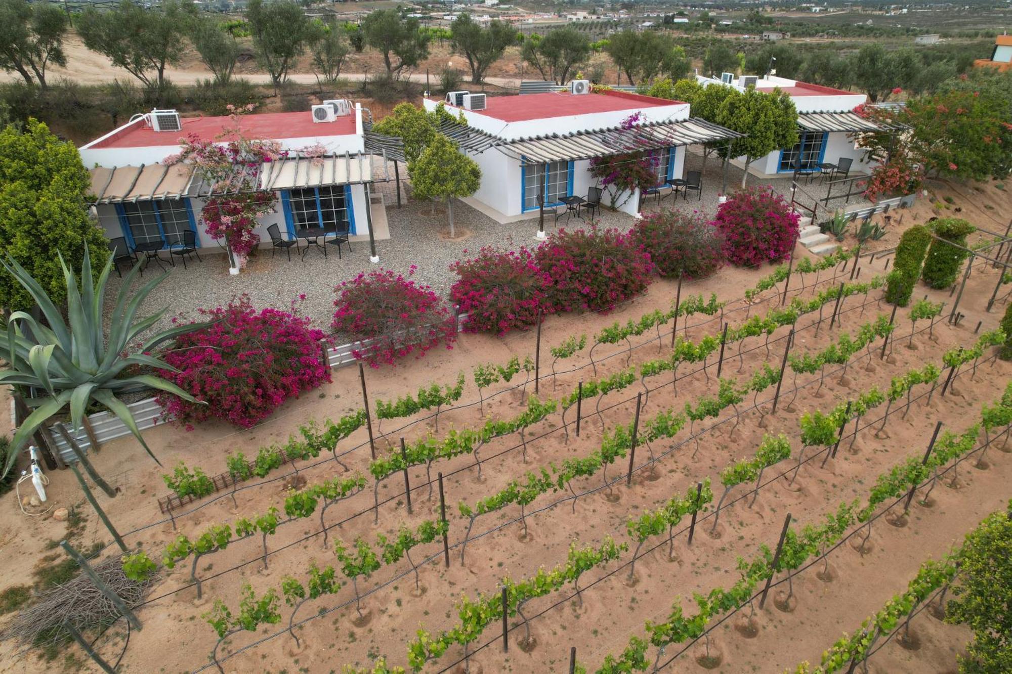 Santerra, Valle De Guadalupe Eksteriør bilde